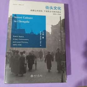 街头文化：成都公共空间、下层民众与地方政治，1870-1930 王笛 全新正版塑封精装