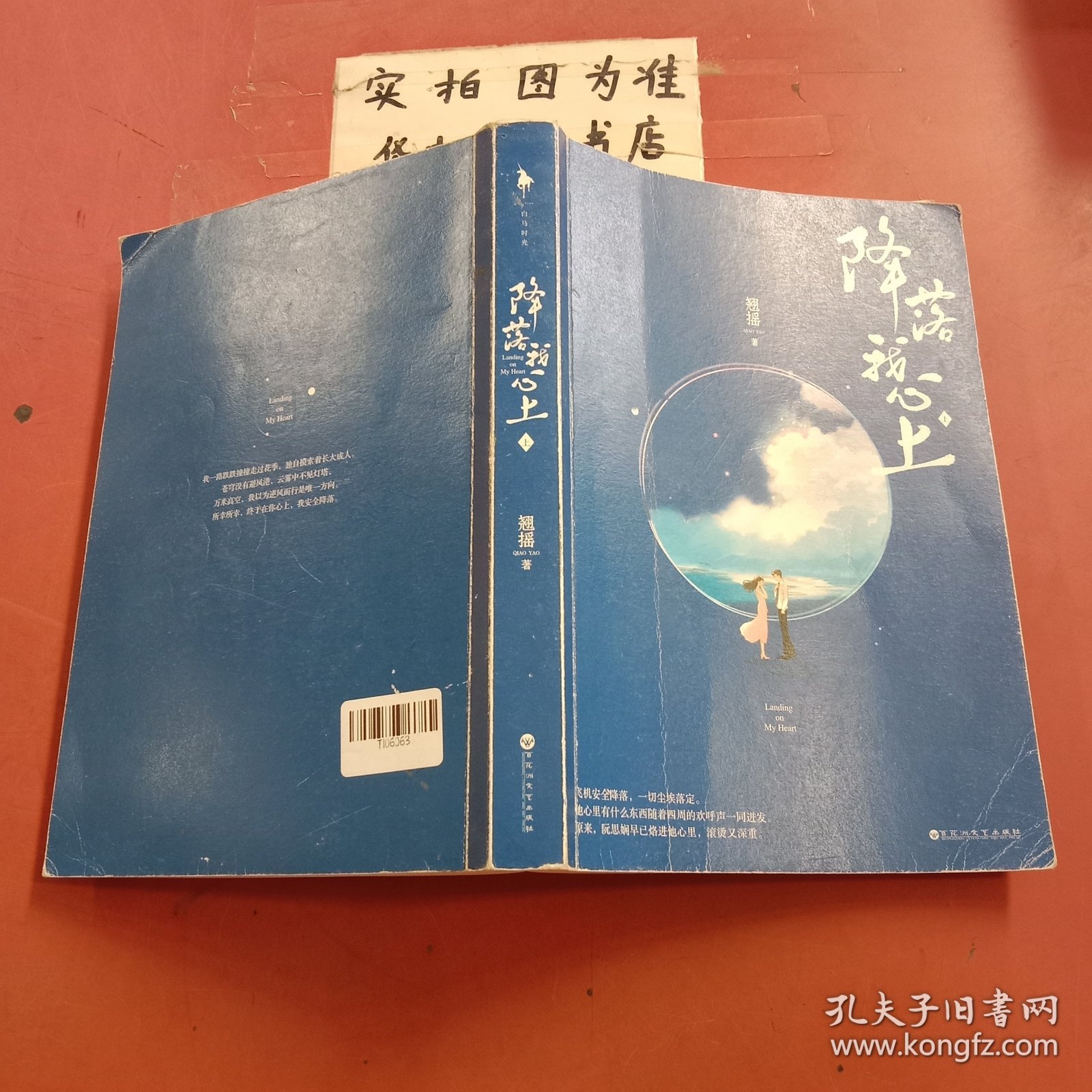 降落我心上（上册）