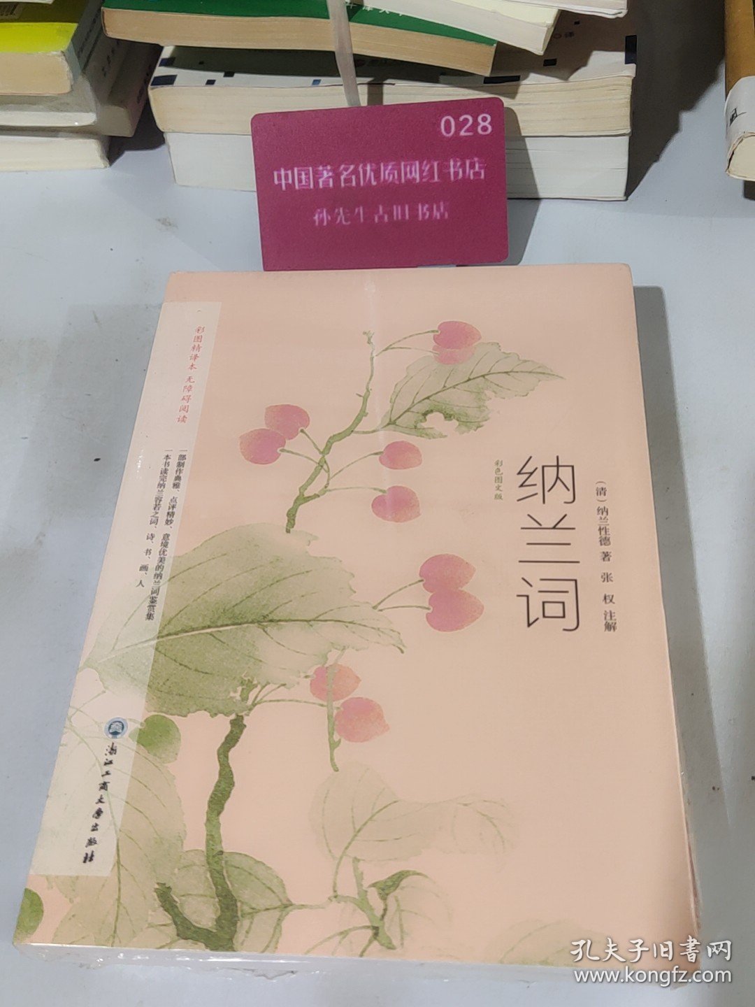 纳兰词：彩色图文版（选集了纳兰性德《纳兰词》的古本手稿，原文对译、100多幅绝美名画） 9787517835264