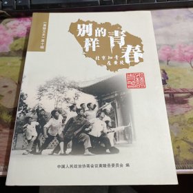 别样的青春