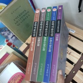 中国当代文学作品选粹 2016年 五卷全 朝鲜文