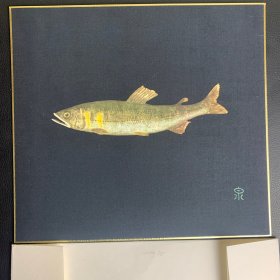 日本回流字画，鱼拓，泉探次郎作品，绢本精致色纸，鲇鱼。