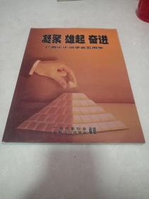 凝聚 雄起 奋进（广西小小说学会五周年）画册