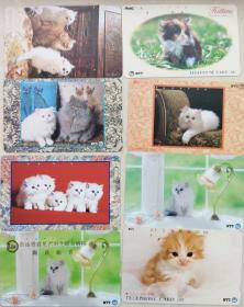 日本电话卡～动物/猫专题--波斯猫（过期废卡，收藏用）