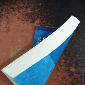 无人机移动测量数据快速获取与处理