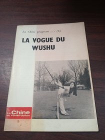 LA VOGUE DU WUSHU（中国的武术）