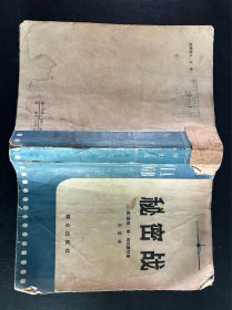 秘密战