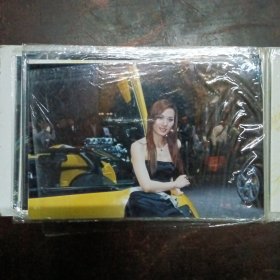 车展车模（照片）