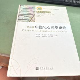 中国化石蕨类植物