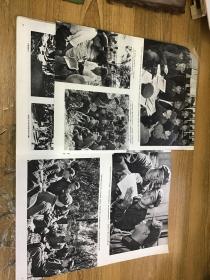 解放军画报1974年8月 完整不缺页