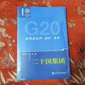 国际组织志（新版）：（8）二十国集团（GROUP OF 20）G20   徐秀军、耿楠著   社会科学文献出版社   正版现货，未拆封