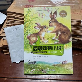 西顿动物小说：破耳兔的一家（彩绘版）