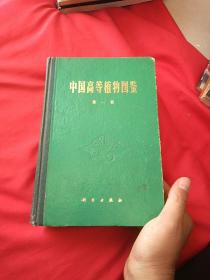 中国高等植物图鉴 第一册