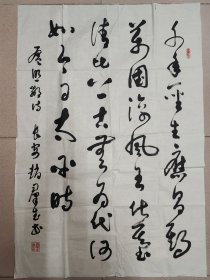 赵群武（西安书法家）·书法作品（99*68）（069）