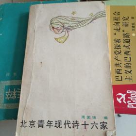 北京青年现代诗十六家
