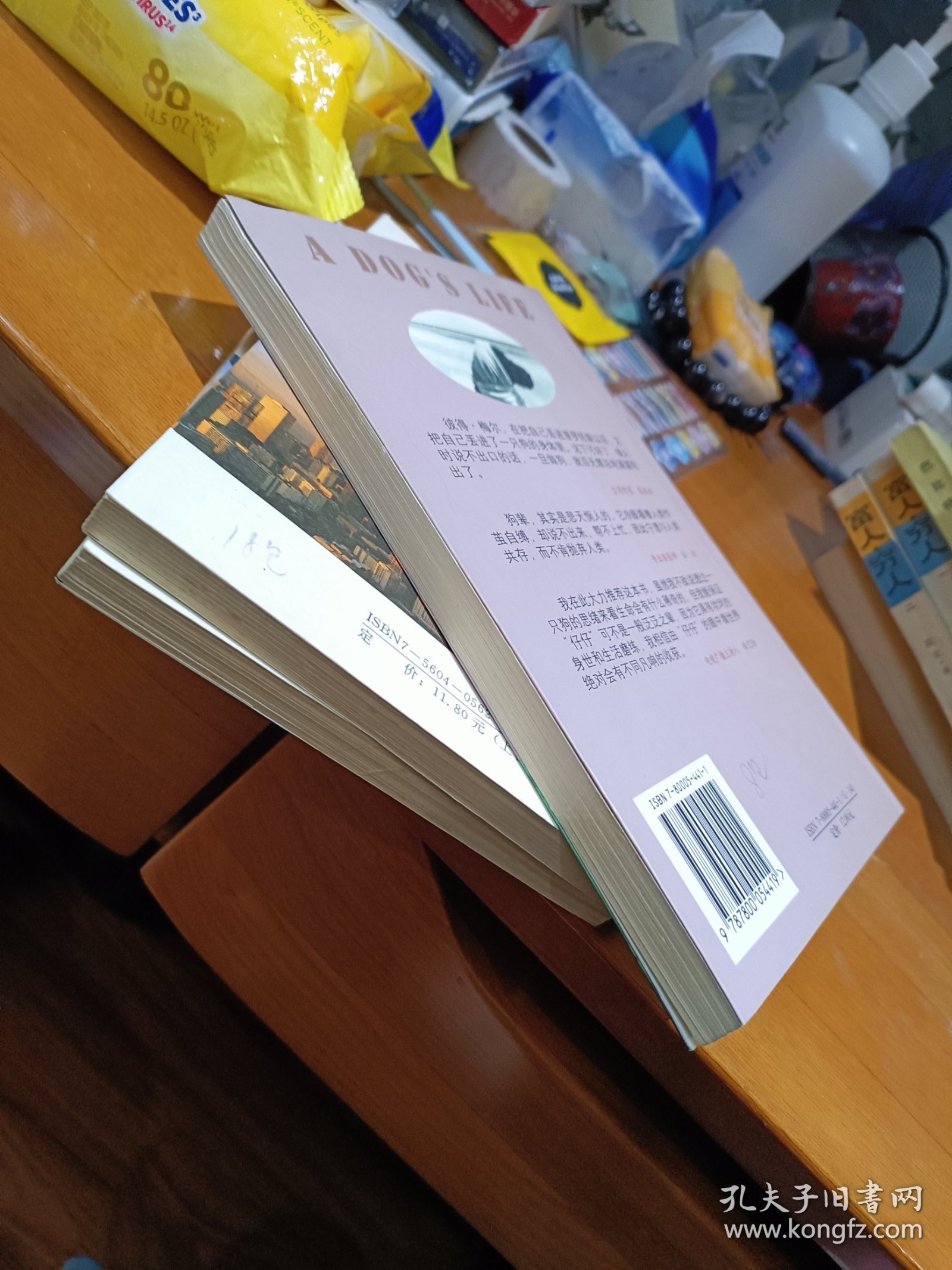 一只狗的生活意见