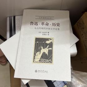 鲁迅·革命·历史：丸山升现代中国文学论集