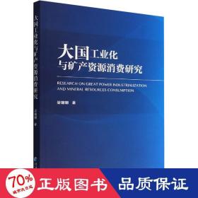 大国工业化与矿产资源消费研究