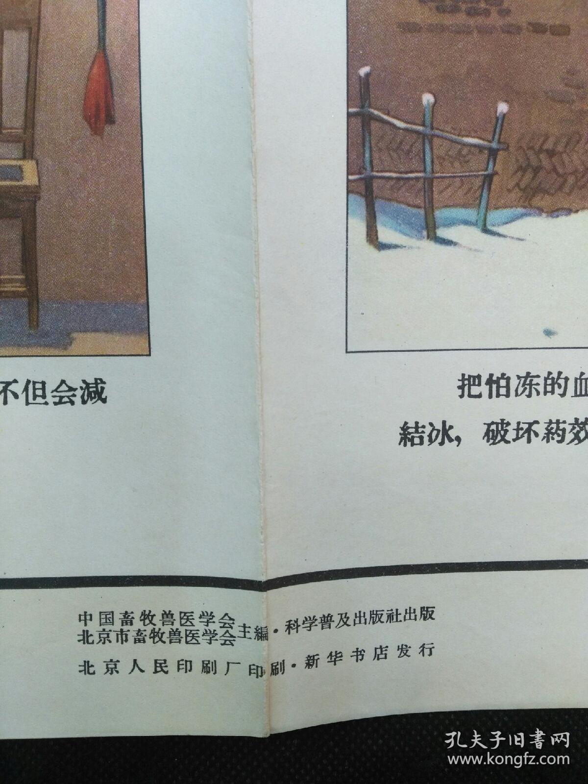 1965年科学普及出版社宣传画：兽医生物药品挂图一套（全4张2开）