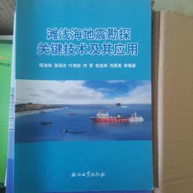 滩浅海地震勘探关键技术及其应用