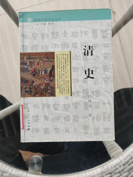 细讲中国历史丛书·清史