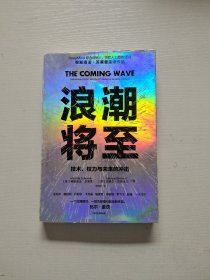 浪潮将至