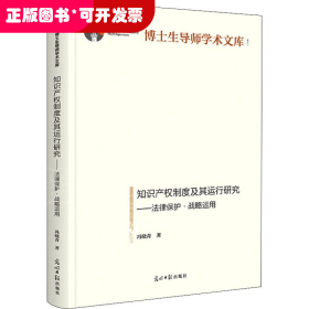 知识产权制度及其运行研究：法律保护·战略运用