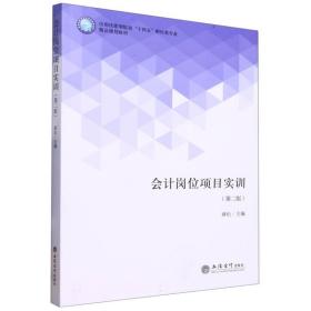 会计岗位项目实训(第2版应用技能型院校十四五财经类专业精品规划教材)