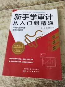 新手学审计从入门到精通：企业内部审计全流程实操