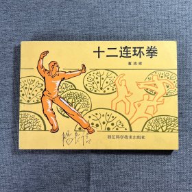 十二连环拳