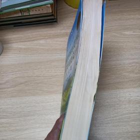 中国最好的短篇小说：世界最好的短篇小说大全集（超值白金版）书脊有处破损，有水印如照片