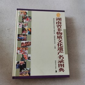 湖南省非物质文化遗产名录图典