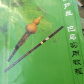 葫芦丝　巴乌实用教程