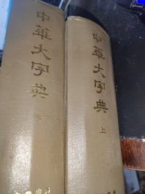 中华大字典（上下）