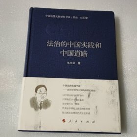 法治的中国实践和中国道路（中国法治实践学派书系）
