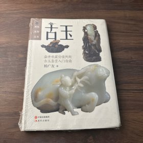 赏玩系列丛书：古玉