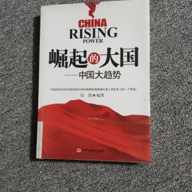 崛起的大国：中国大趋势