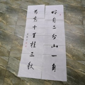 张国栋 书法作品 对联  软片 见图  字画类