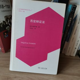 否定辩证法/当代德国哲学前沿丛书