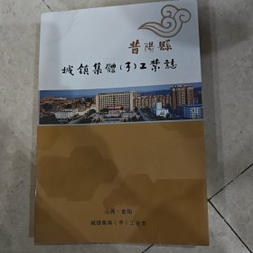 昔阳县城镇集体手工业志