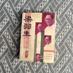 梁羽生传奇