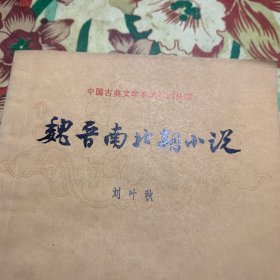 中国古典文学基本知识丛书：魏晋南北朝小说。