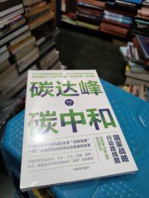 碳达峰碳中和：国家战略行动路线图 袁志刚 循环经济 低碳经济 环境气候