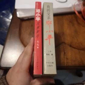 军事4：我的父亲邓小平，邓小平文革岁月