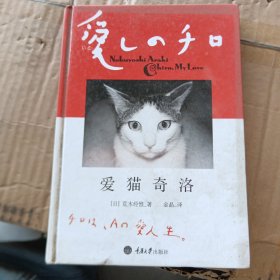 爱猫奇洛