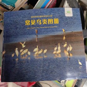 常见鸟类图册