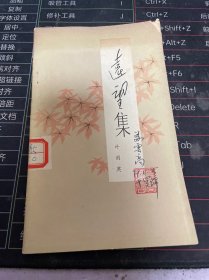 远望集