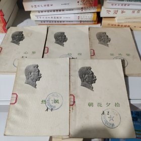 5本合售 鲁迅作品：二心集，彷徨，朝花夕拾，热风，集外集