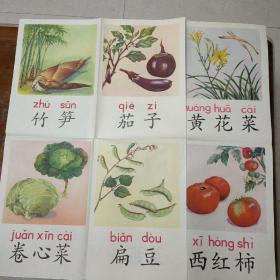 教学挂图蔬菜八幅