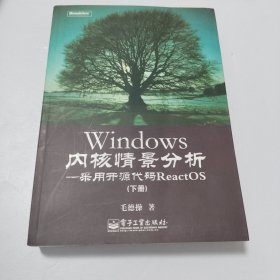 Windows内核情景分析：采用开源代码ReactOS 仅下册，无划线无笔迹
